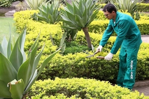 Execução e manutenção de jardins